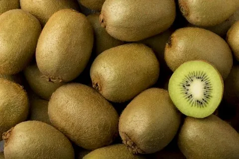 تصویر 2 از قیمت خرید کیوی خشک شده + فروش ویژه